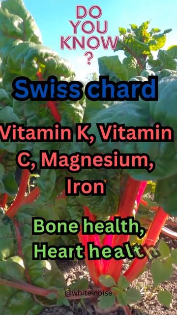 "Veggies & Vitality: Unlocking Nutrient Power!"| swiss chard | #short25 #wnslive смотреть онлайн