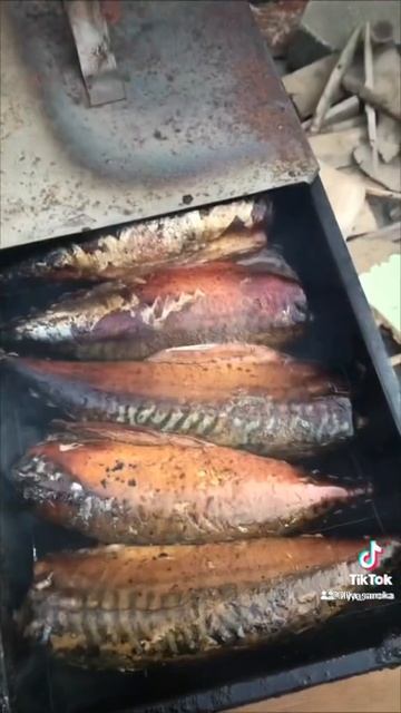 Копчёная скумбрия #рыба #копчение смотреть онлайн