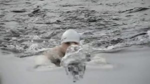 INTERNATIONAL WINTER SWIMMING COMPETITION MURMANSK 2013.