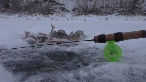 Повесил фосфорную блесну и сразу пошли удары . Зимняя рыбалка