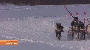 День оленевода 2025