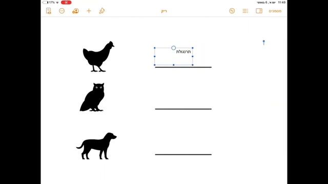 מדריך ל Pages - אורית פלד смотреть онлайн
