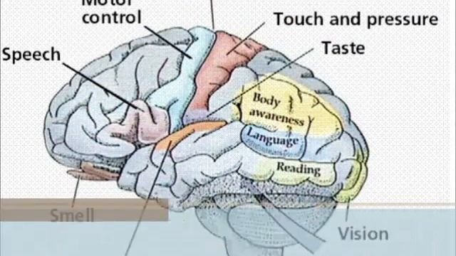 Science Olympiad Promotional Video! смотреть онлайн