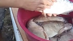 ПОДЛЕЩИКА В СОЛЬ И ПОД ГНЕТ!