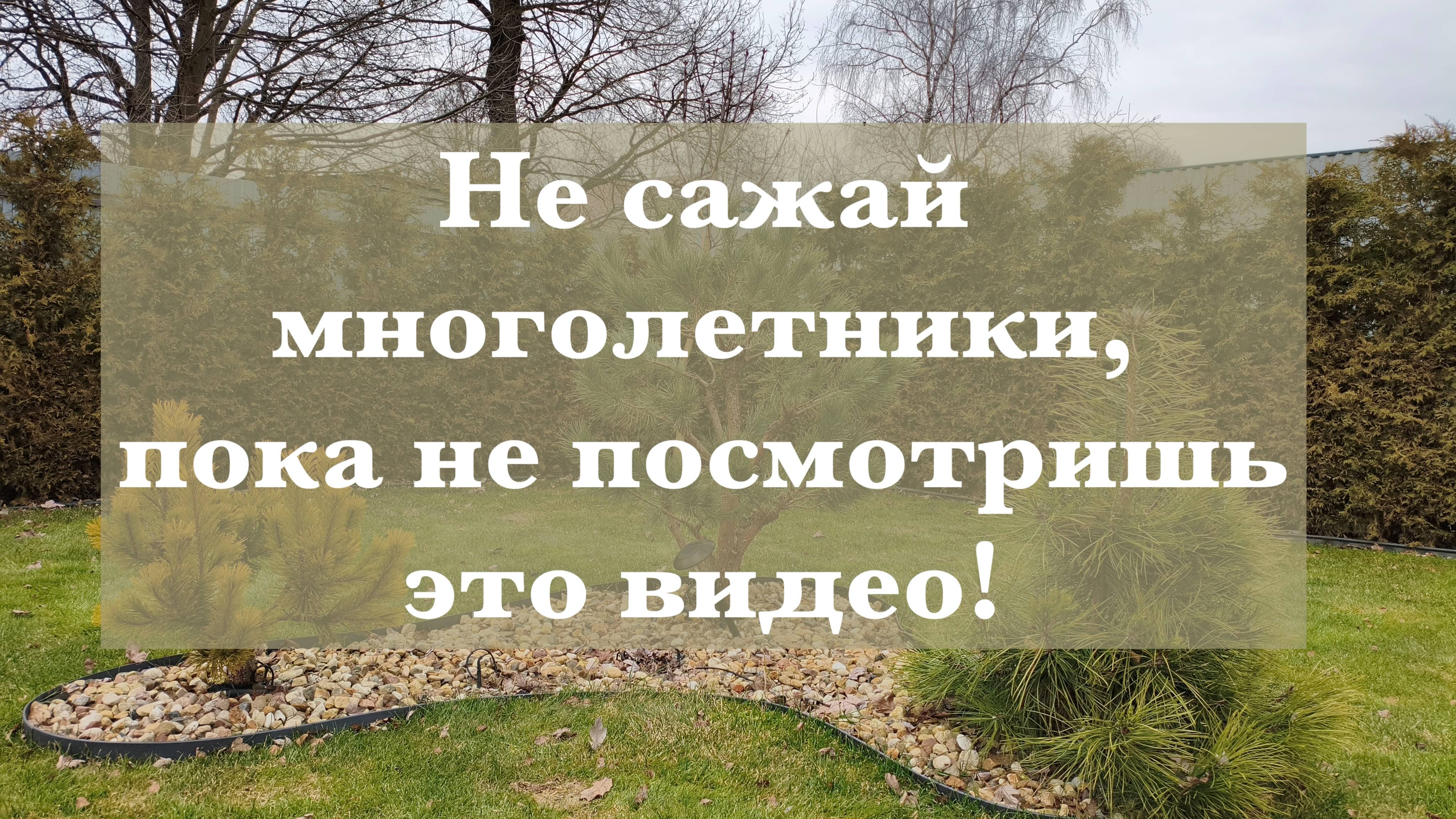 Посадка многолетних растений весной: простой и эффективный способ.