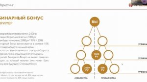 Презентация бизнеса с МЛМ компанией Whieda. Почему вы должны выбрать Виеда