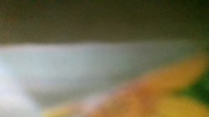 Копну лопатой — и я богатый!-Песня кладоискателей  (к/ф"Комедия давно минувших дней"(наброски)