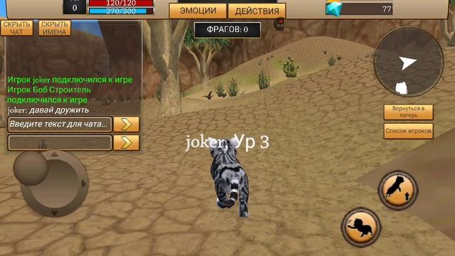 кошки 1 часть