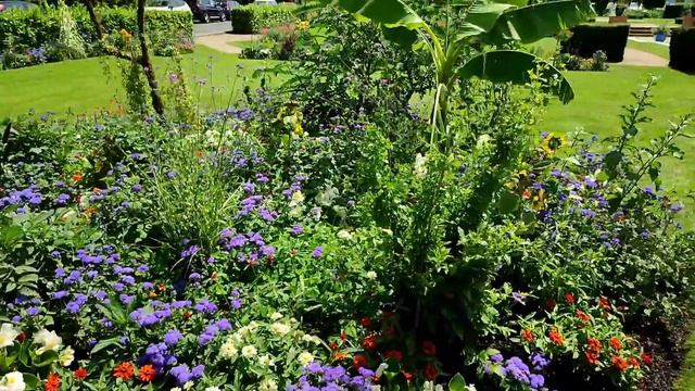 Идём к мадам Козе. Ужин на природе. смотреть онлайн