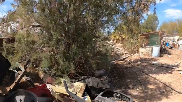 DÍA 5 DE RANCHO SE VOLVIÓ A METER EL COYOTE AL RACHO смотреть онлайн