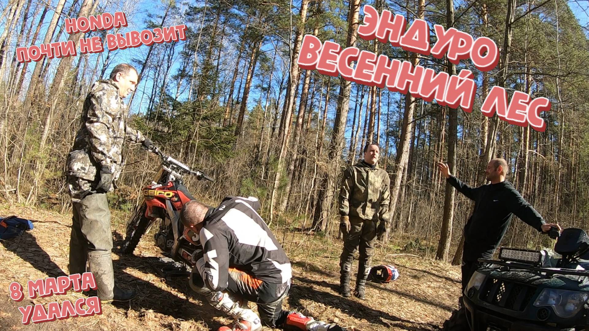 Эндуро. Весенний лес. Отличная компания!