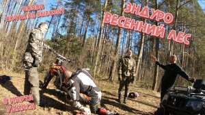 Эндуро. Весенний лес. Отличная компания!