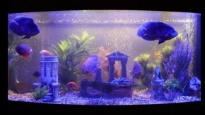 Лампы для Juwel  аквариума. LED.