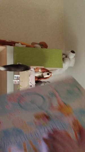 делаем подарок на днюху