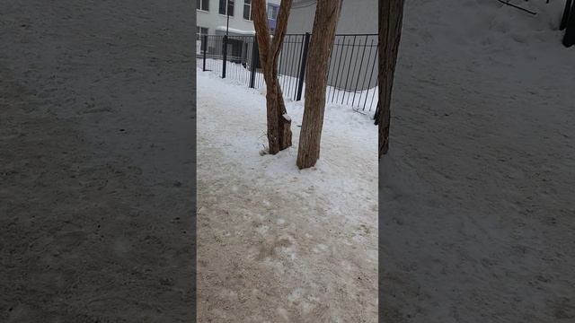 28 февраля 2025 г., 14:26:12
ул. Газеты Звезда
VID_20250228_142334211