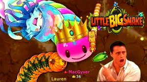 🐍Little Big Snake🐞Killing rebellious snakes and the best moments. ❤️😍👍