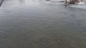 горная рыбалка