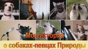Собаки НЕ воют - ПОЮТ. Рассказ