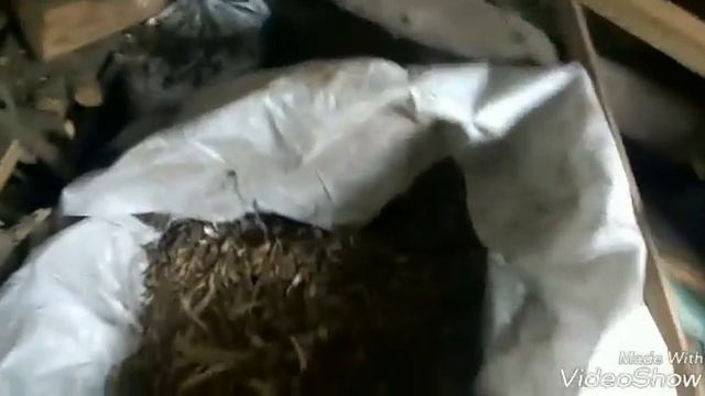 Моя буржуйка і як видалити сажу із комина смотреть онлайн