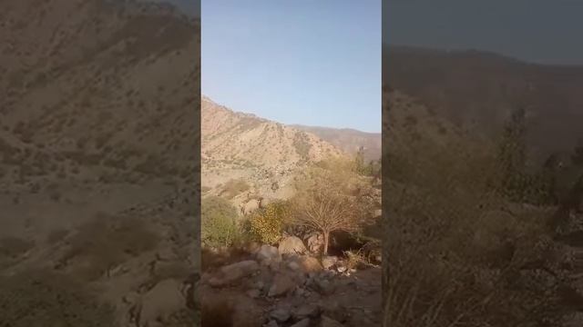 дараи каратог дехаи лабичай смотреть онлайн