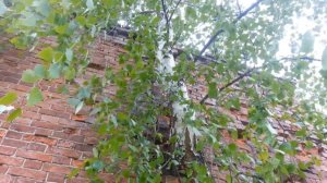 Цена жизни. Часть 2