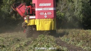 Уборка картофеля в Измалковском районе. Тракторы Джон Дир 6930 и комбайн Grimme SE 150-60 Осень 202