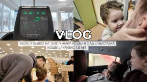 VLOG // ХУДЕЮ НА 15 КГ // АМИР ПОШЕЛ В САД // ВЫСТАВКА КОШЕК // КРИЗИС 1.5 ЛЕТ