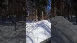 "Солнечный"Парк-отель и Спа.Солнечногорский район.как добраться.