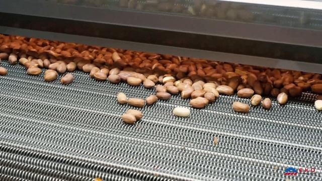 Nuts Roasting Machine EKO 195