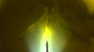 Подводная охота на Волге. Стреляю такие виды рыб как Сом, Налим, Судак, Щука.