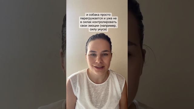 Почему собака агрессирует на ребенка? смотреть онлайн