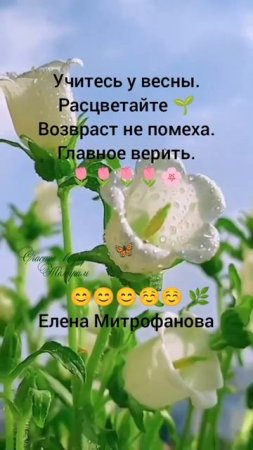 Счастье внутри...:
Учитесь у весны. Расцветайте 🌱
Елена Митрофанова
🌷🌷🌷🌷🌸
