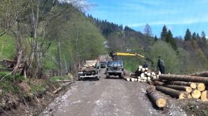 Погрузка леса