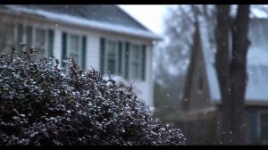 Красивая и Нежная музыка для Сна, Учёбы, Работы и Медитаций.