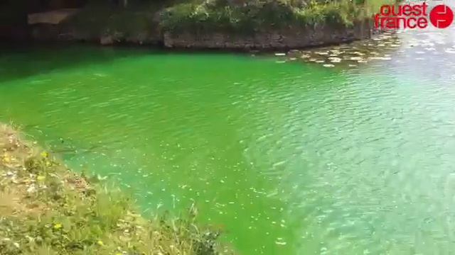 La Briante vert brillant dans la Sarthe смотреть онлайн