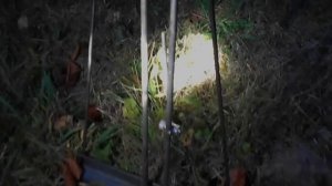 Кротоловка. Как поймать крота. Кротобой. Как избавиться от крота.