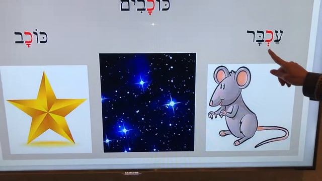 Grade 1 the letter chaf