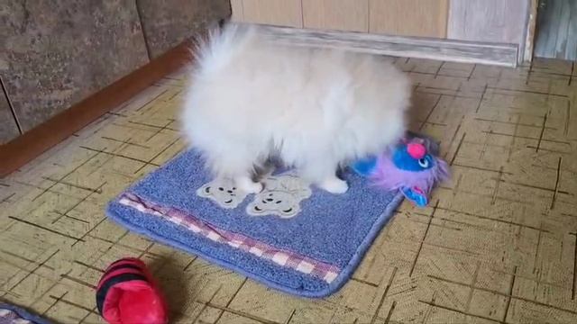 YouCut_20250314_162251285 смотреть онлайн