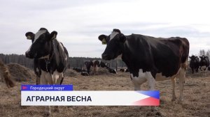 В сельскохозяйственном предприятии Городецкого округа тщательно подготовились к началу работ