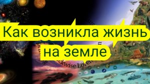 О возникновении жизни на земле