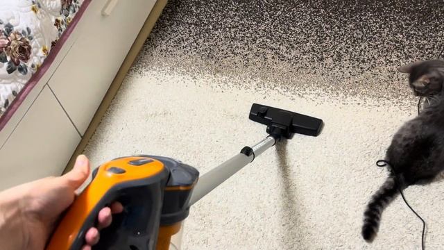 Вертикальный пылесос StarWind SCH 1320 - отзыв смотреть онлайн