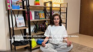 Почему собака есть свои фекалии?