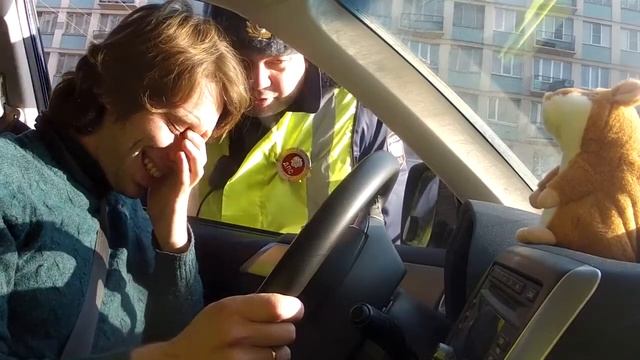 Хомяк троллит ДПСника - простое дублицирование смотреть онлайн