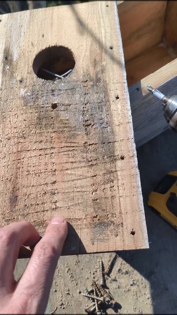 скворечник весной