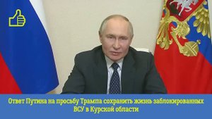 Ответ Путина на просьбу Трампа сохранить жизнь ВСУ в Курской области #Путин #Украина #Трамп