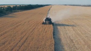 Уборка урожая пшеницы 2020