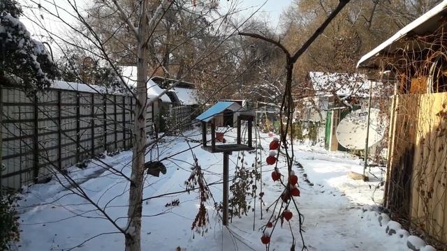 Кормушку смастерили для птичек 18 ноября 2018 год смотреть онлайн