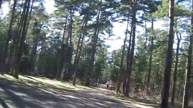 Cycling in Tallinn Forest (Pirita) смотреть онлайн