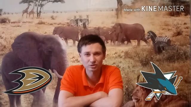 Вашингтон-Коламбус.Анахайм-Сан-Хосе/Прогнозы на нхл.