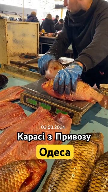 Одеський привоз, карась 🐠 ПІДПИШИСЬ 🙌 смотреть онлайн
